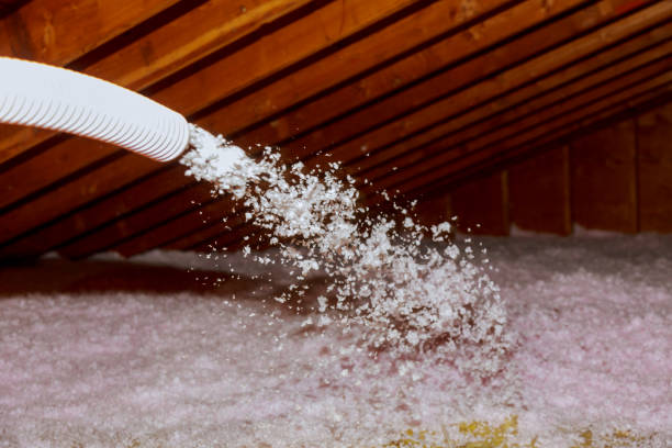 Best Geographic-Specific Insulation Services in Beverly, OH